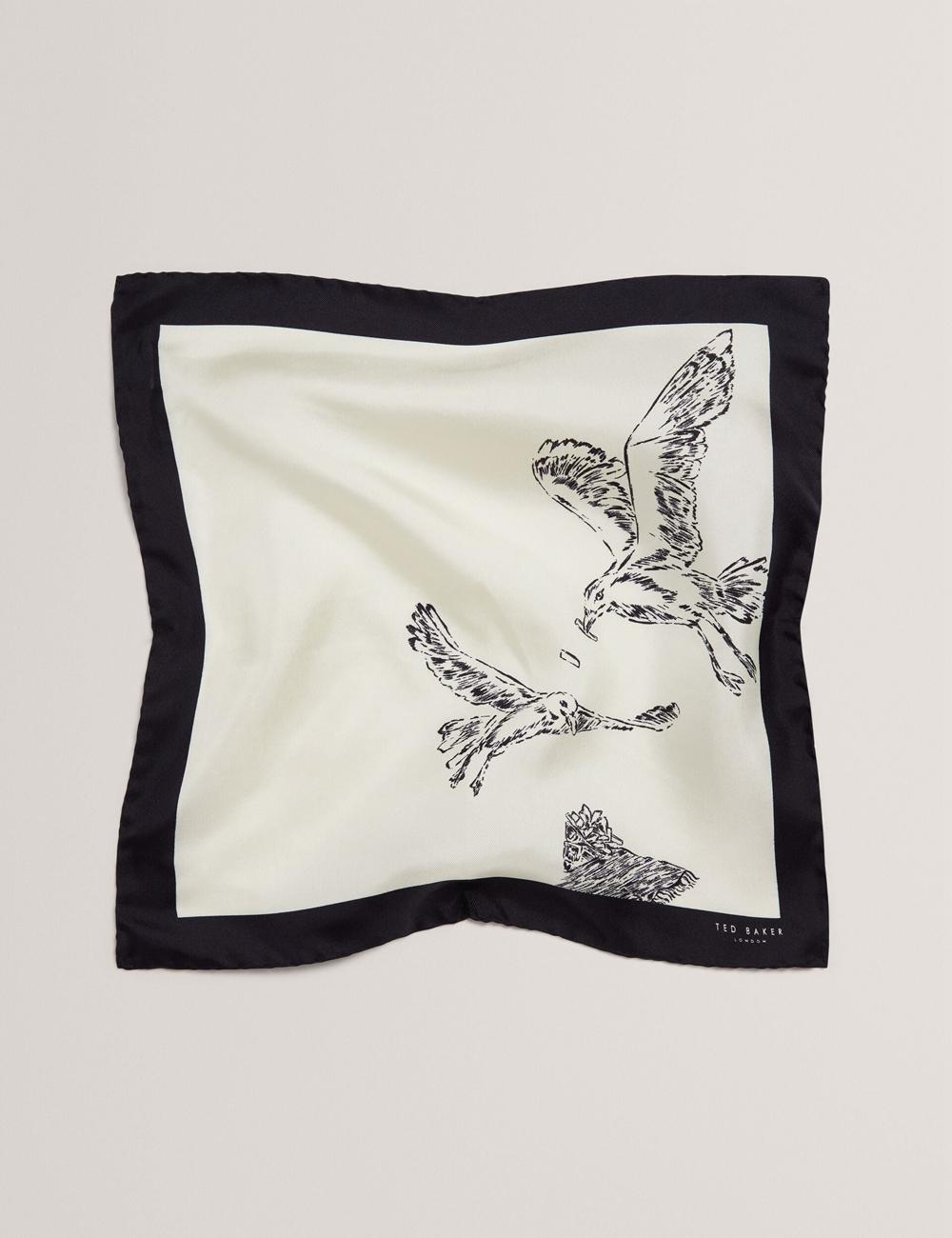 Men Ted Baker BENHALP - Seagull Graphic Silk Pocket Pocket Squares Ecru | EXGN42317