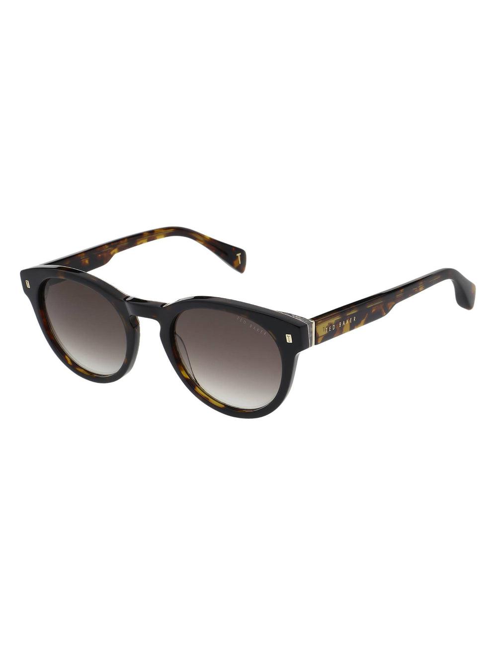 Men Ted Baker DAX - Round Chunky Temple Sunglasses Brown | FEWY03526