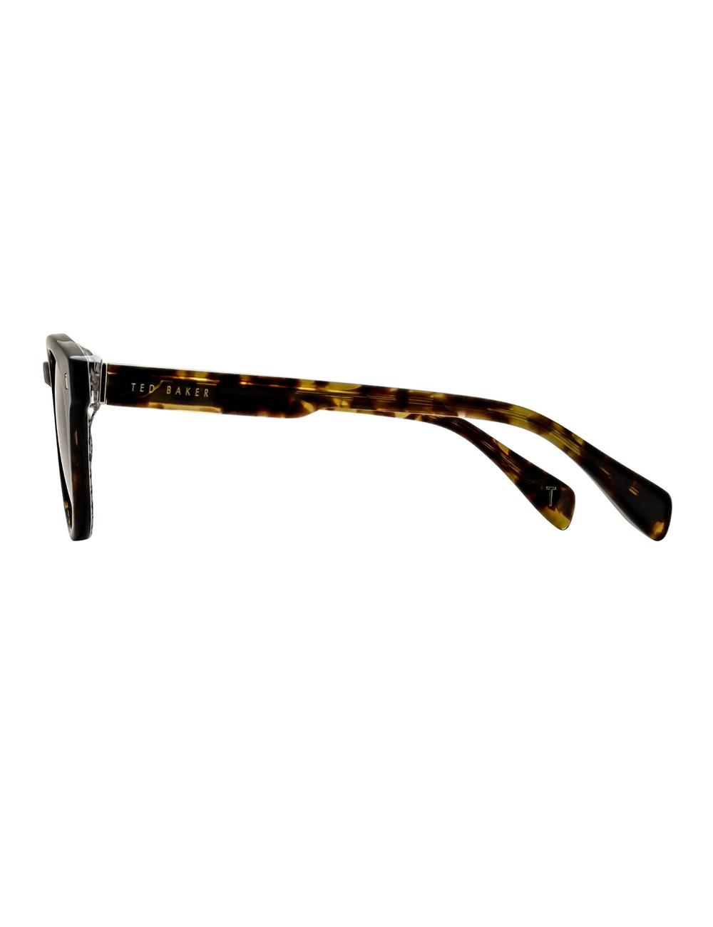 Men Ted Baker DAX - Round Chunky Temple Sunglasses Brown | FEWY03526