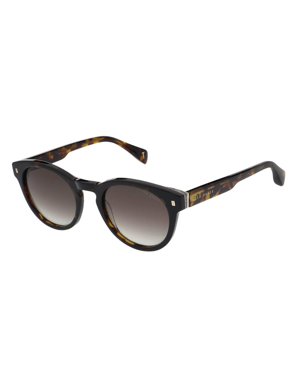 Men Ted Baker DAX - Round Chunky Temple Sunglasses Brown | FEWY03526