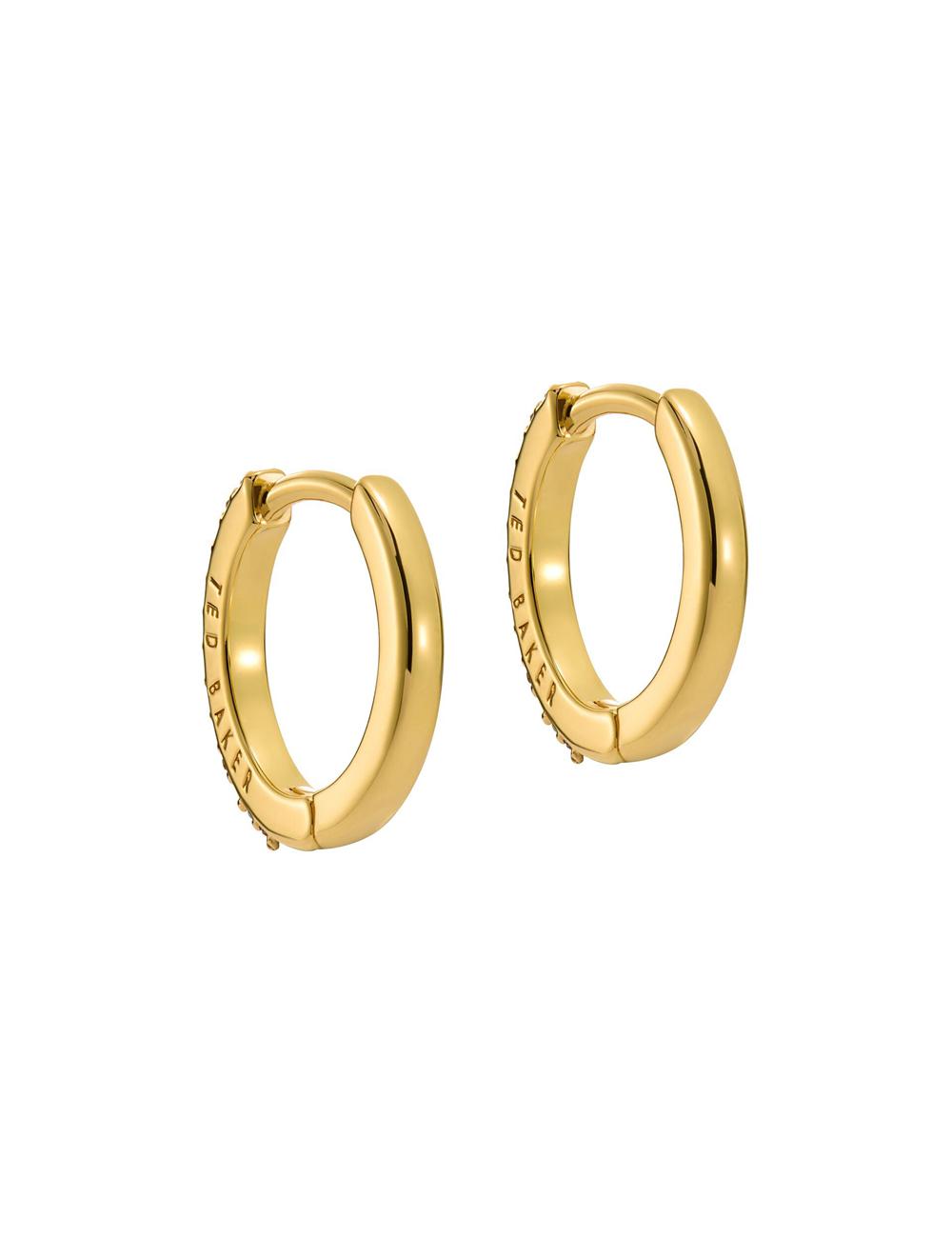 Women Ted Baker HEPLIE - Crystal Huggie Hoop Earrings Multicol | ITQC58236
